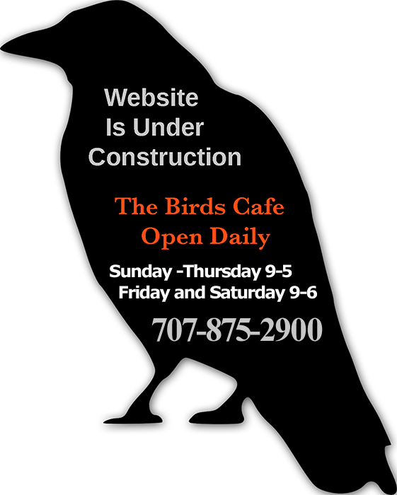 The Birds Cafe